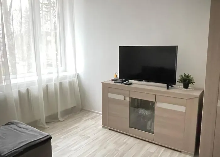 Taikos Apartmentai 2