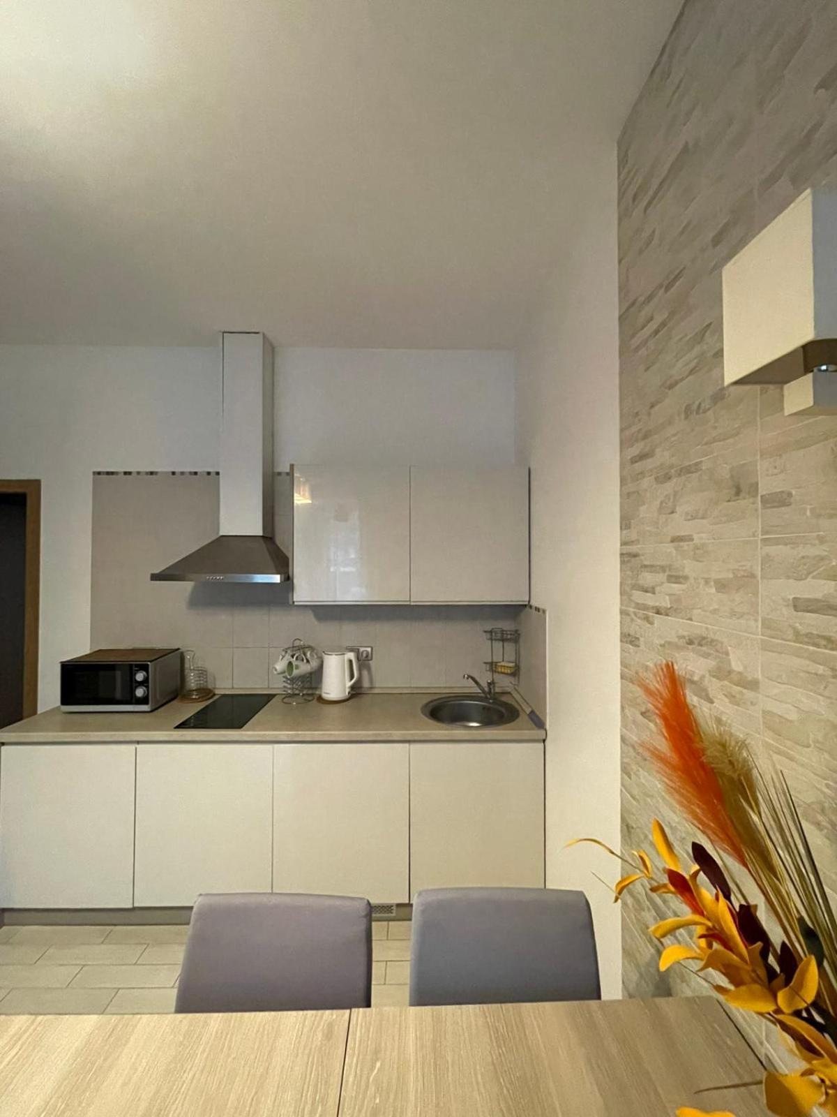 Taikos Apartmentai 2 Butas Druskininkai